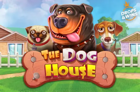 the dog house