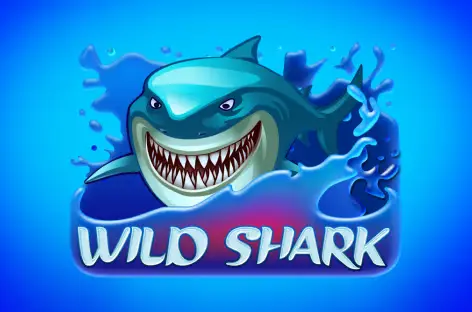 wild shark